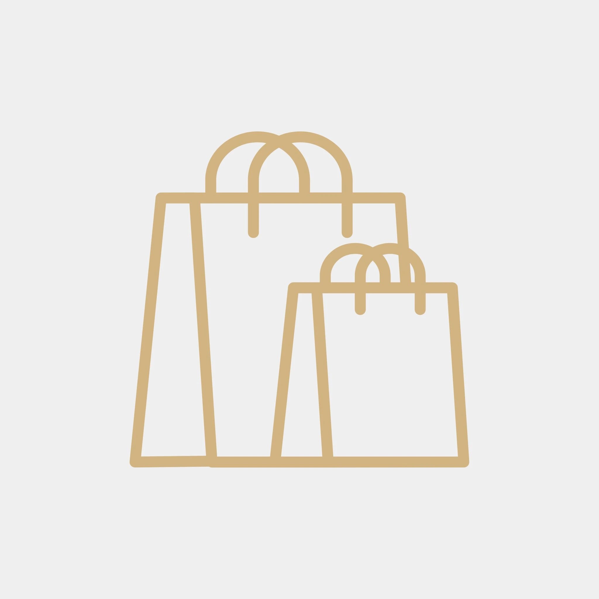 Two shopping bags icon for checkout and account