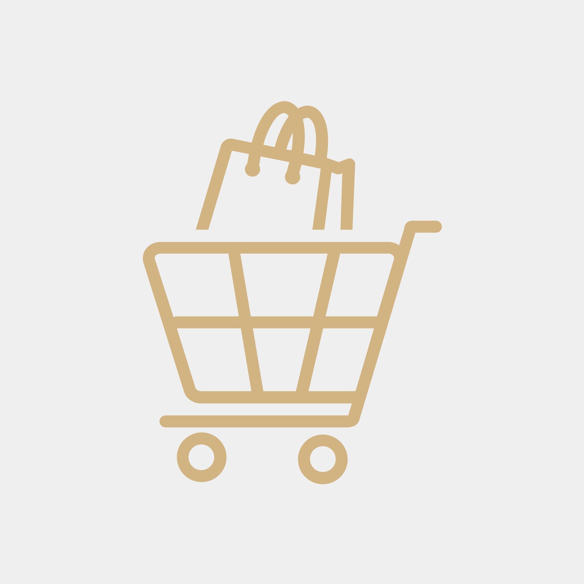 Shopping cart icon with a bag