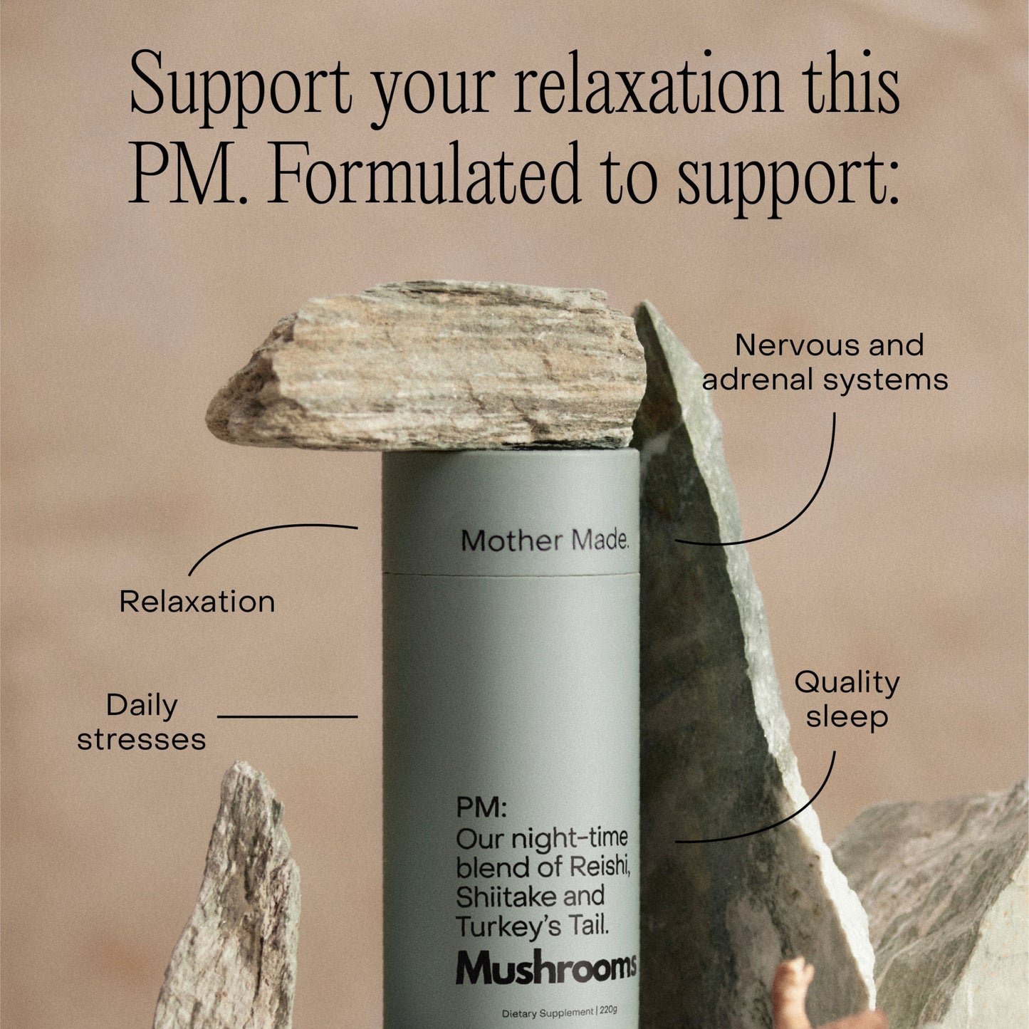 Mother Made PM mushroom blend infographic calling out benefits for relaxation, sleep, and nervous system support – Reishi, Shiitake, and Turkey’s Tail supplement featured with natural rock styling