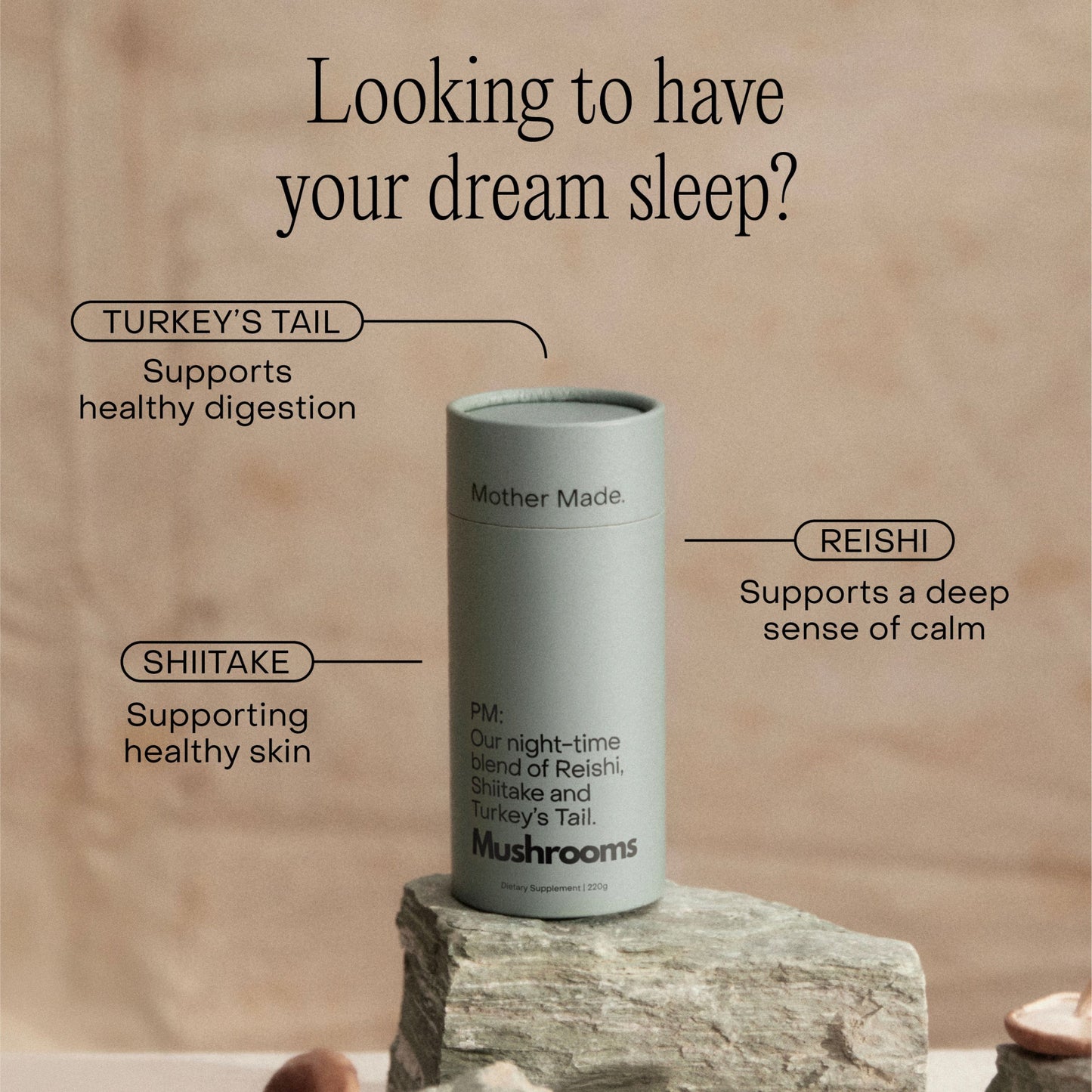 PM blend by Mother Made infographic calling out benefits of its ingredients Reishi for calm, Shiitake for skin health, and Turkey’s Tail for digestion