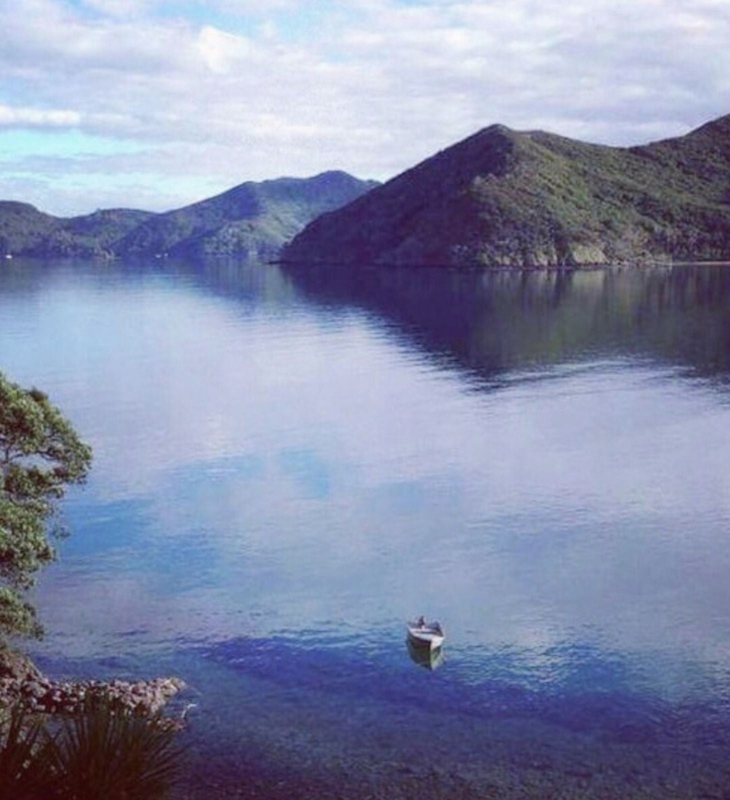 Looking towards founder’s childhood bay Great Barrier Island NZ