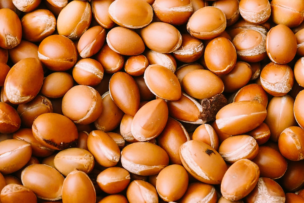 Argan nuts for argan oil, a nutrient-rich botanical ingredient used in natural skincare, beauty and wellness products.