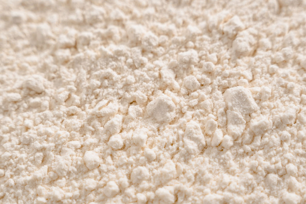 Fine white probiotic powder representing Bacillus subtilis DE111, a resilient probiotic strain that supports gut microbiome balance and digestive health.