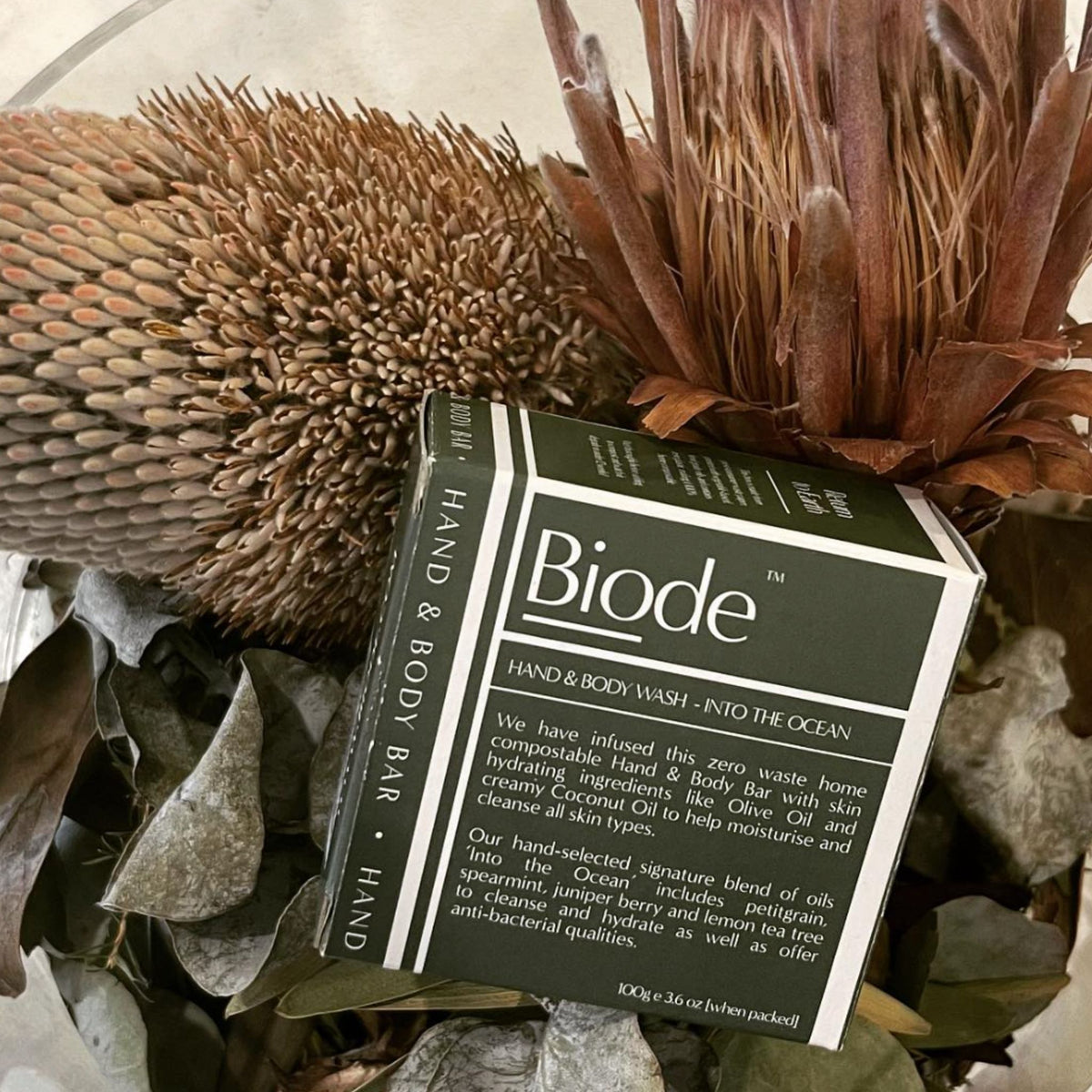 A boxed Biode Hand & Body Wash product placed among dried botanicals, including a large brown flower head and olive greens, on a styled flat-lay background.