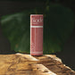 Biode Lilly Pilly lip balm with natural pink tint, shown on wood for eco-conscious skincare