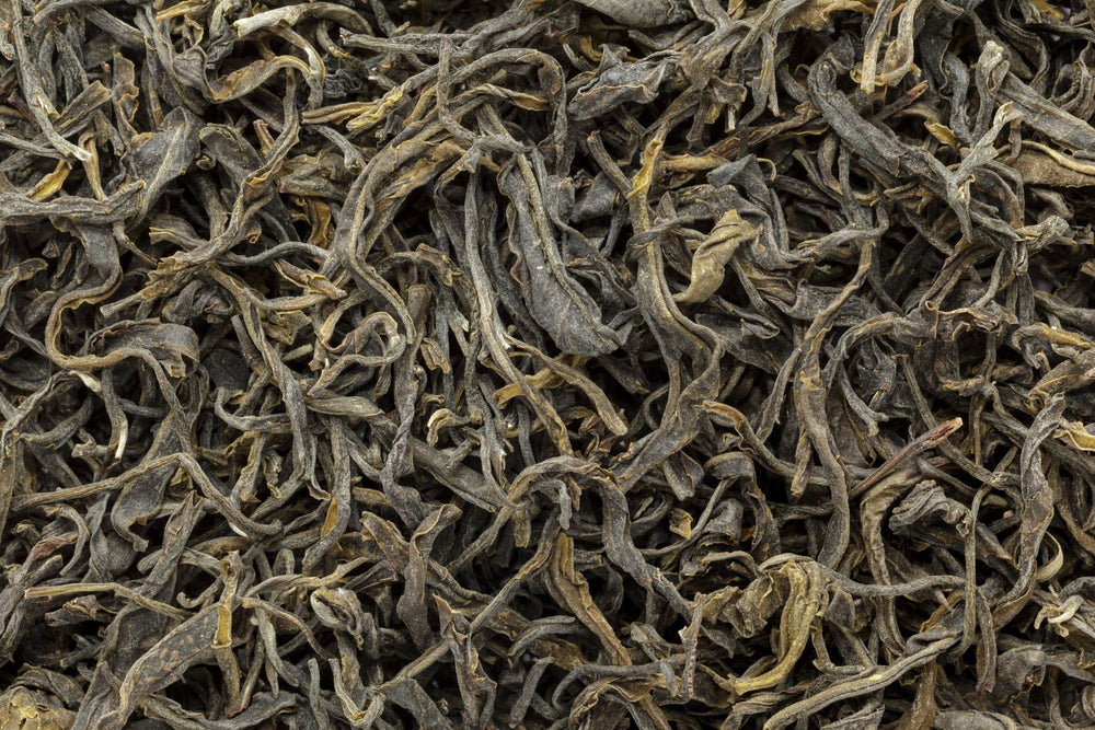 Organic Camellia sinensis green tea leaves in loose leaf form used in herbal tea and botanical formulations