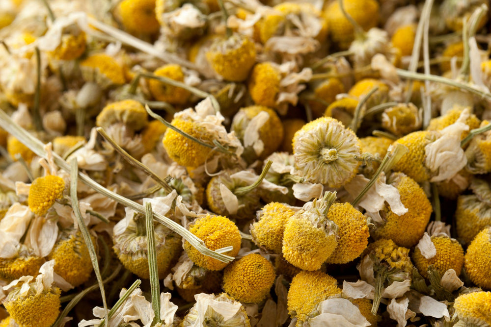Dried chamomile flowers known for their gentle, calming effects that reduce inflammation,  ease stress and promote relaxation.