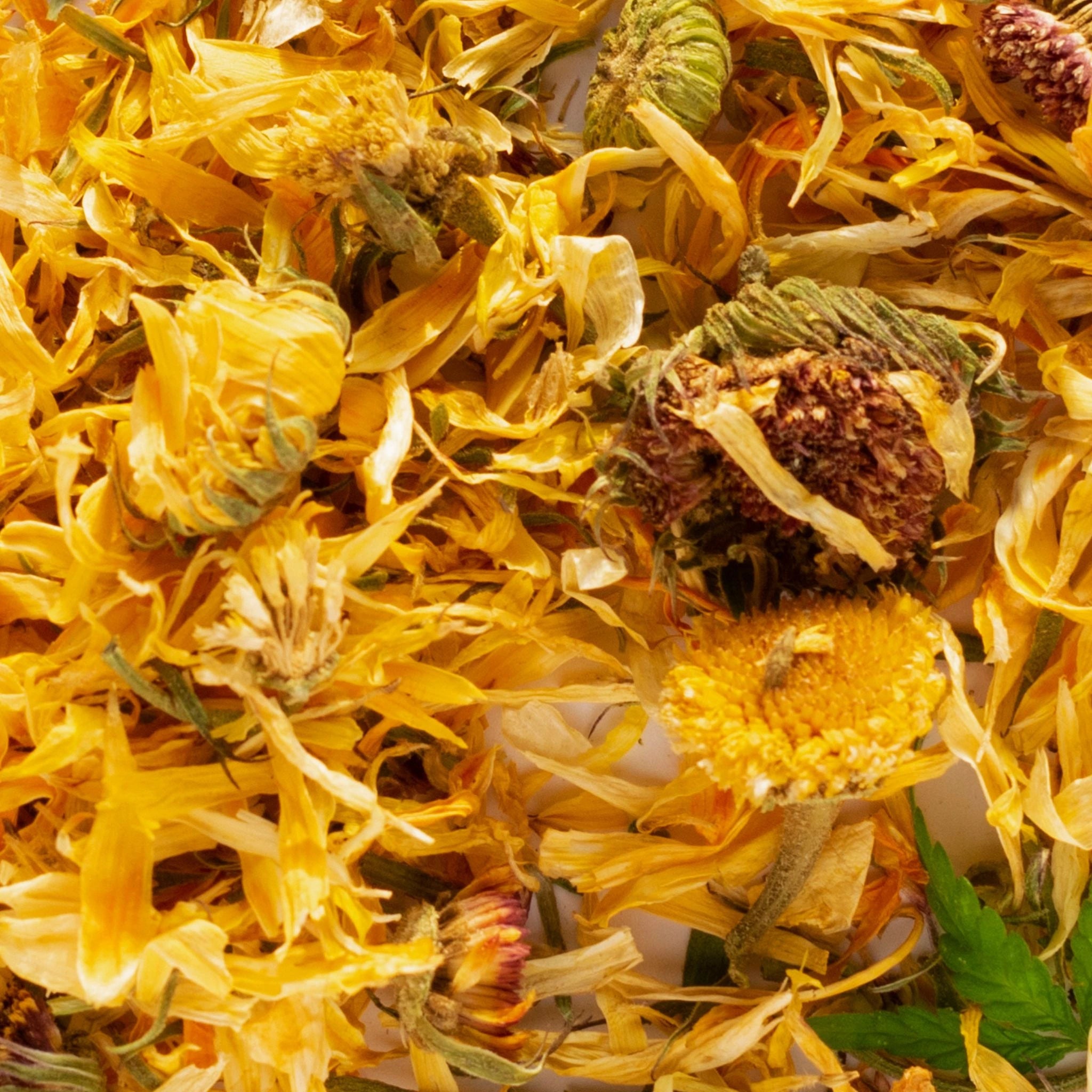 Dried calendula petals packed with calming antioxidants and anti-inflammatory properties, used in natural skincare and herbal wellness products to support healing and calm.