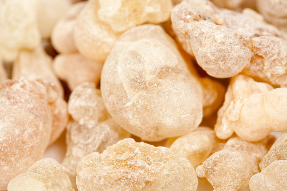 Close-up of Boswellia serrata (frankincense) resin – prized for its calming, anti-inflammatory and skin-rejuvenating properties, featured in natural skincare and wellness formulations at Intentionally Natural NZ.