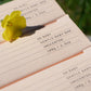 Fair + Square Oh Baby bar group shot box