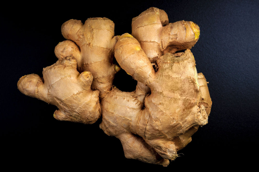 Close up of fresh ginger root with textured skin and natural golden tones used as a key ingredient in herbal tea blends wellness tonics skincare extracts essential oils and natural health formulations.