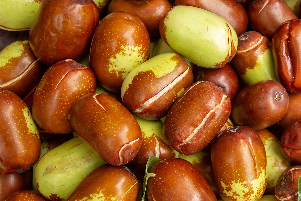 Close up of jojoba seeds illustrating the natural source of jojoba oil, a nutrient rich botanical ingredient used in beauty, skincare and wellness formulations for barrier support and hydration.