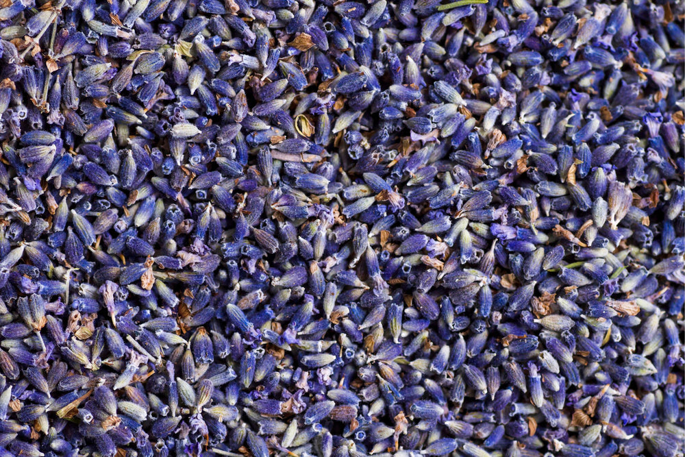 Dried organic lavender buds rich in natural calming properties, used in skincare and wellness for soothing irritation, promoting relaxation, and supporting restful sleep.