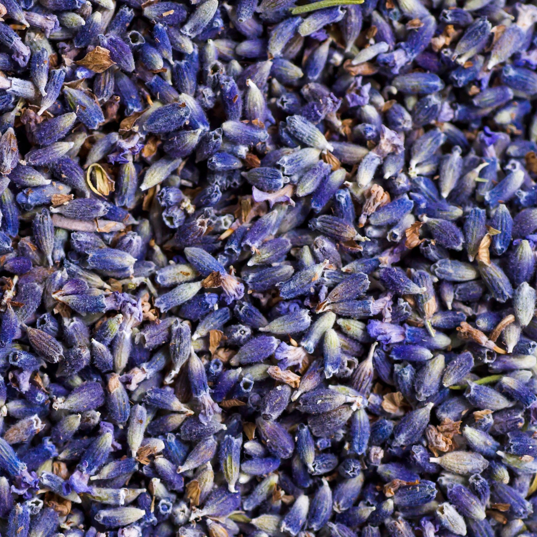Dried organic lavender buds rich in natural calming properties, used in skincare and wellness for soothing irritation, promoting relaxation, and supporting restful sleep.