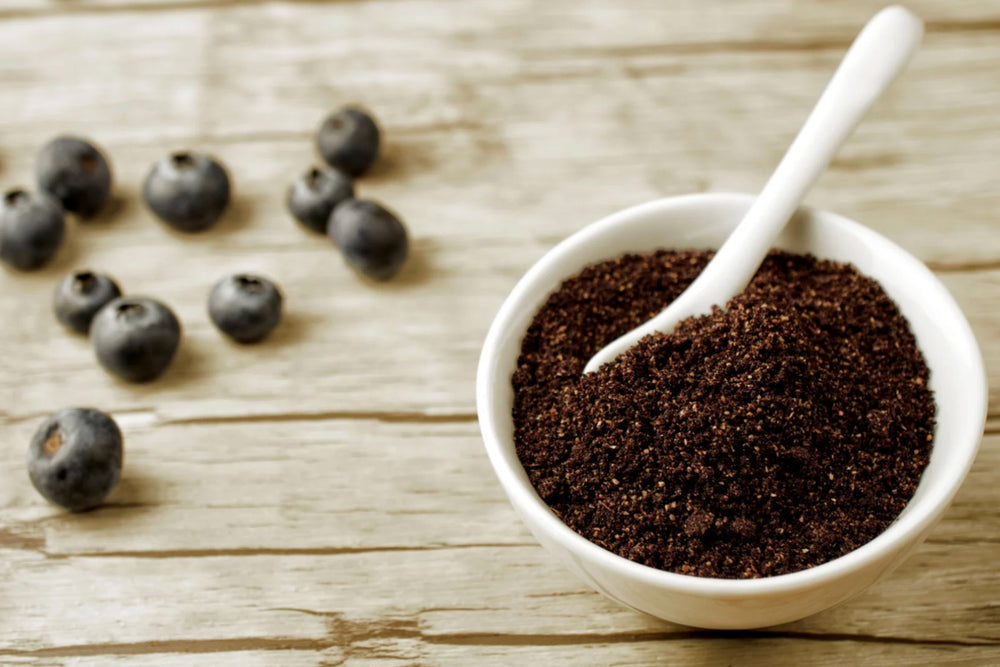A white bowl filled with Matakana Superfoods Maqui Berry Powder, with a white spoon resting inside, set on a light wooden surface. Several blueberries are scattered on the left side of the frame.