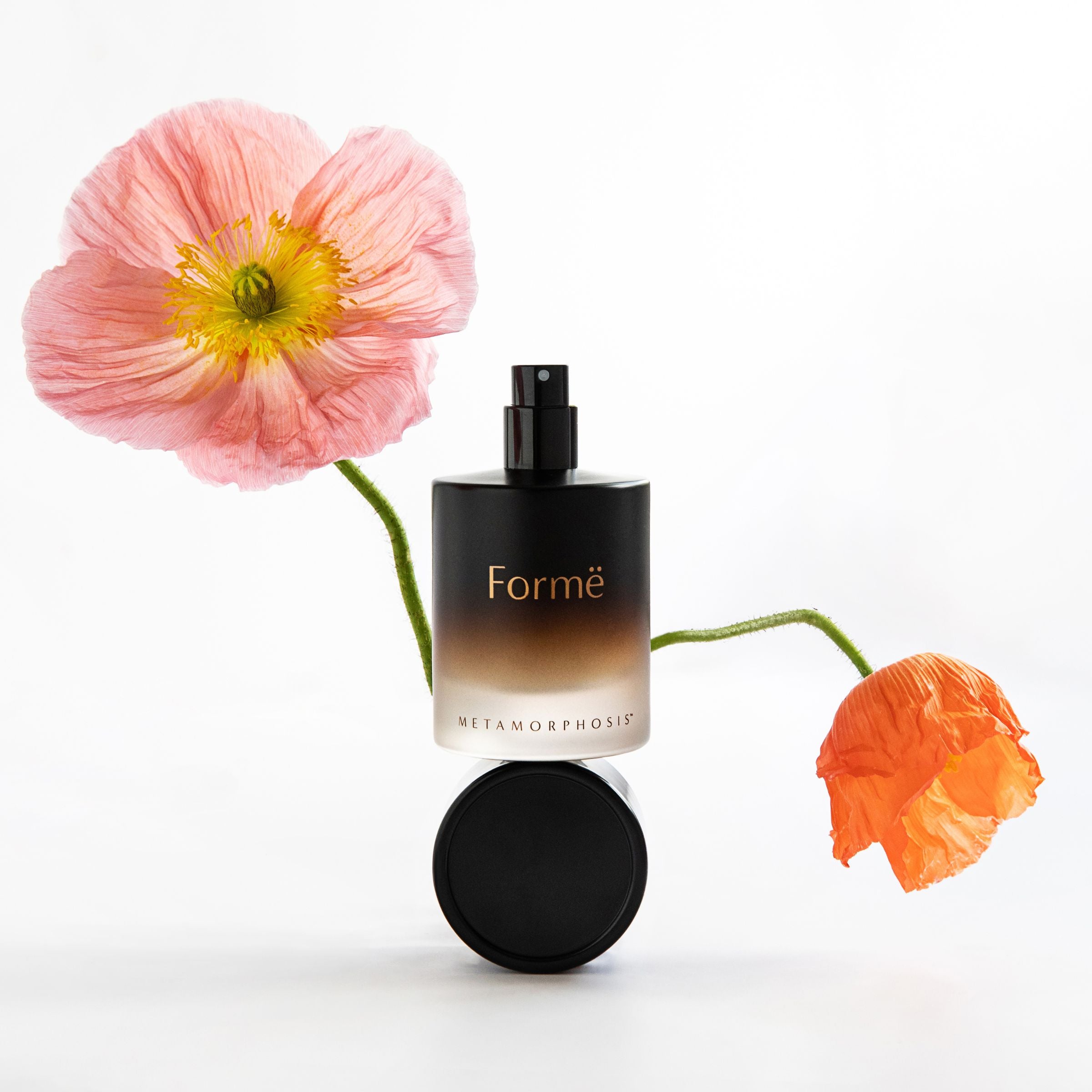 Metamorphosis Formē [for-MAY] 100% natural aromatherapeutic perfume by Vanessa Megan for perimenopause through post-menopause, shown with soft pink and orange poppies.