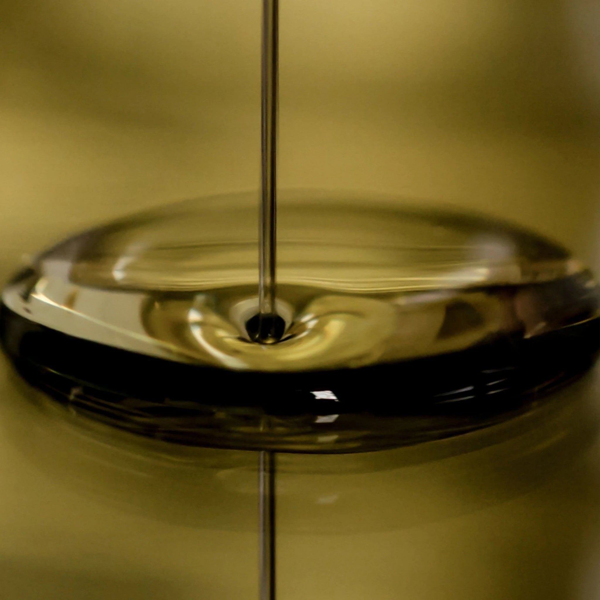 Moringa Seed Oil (Moringa Oleifera): 