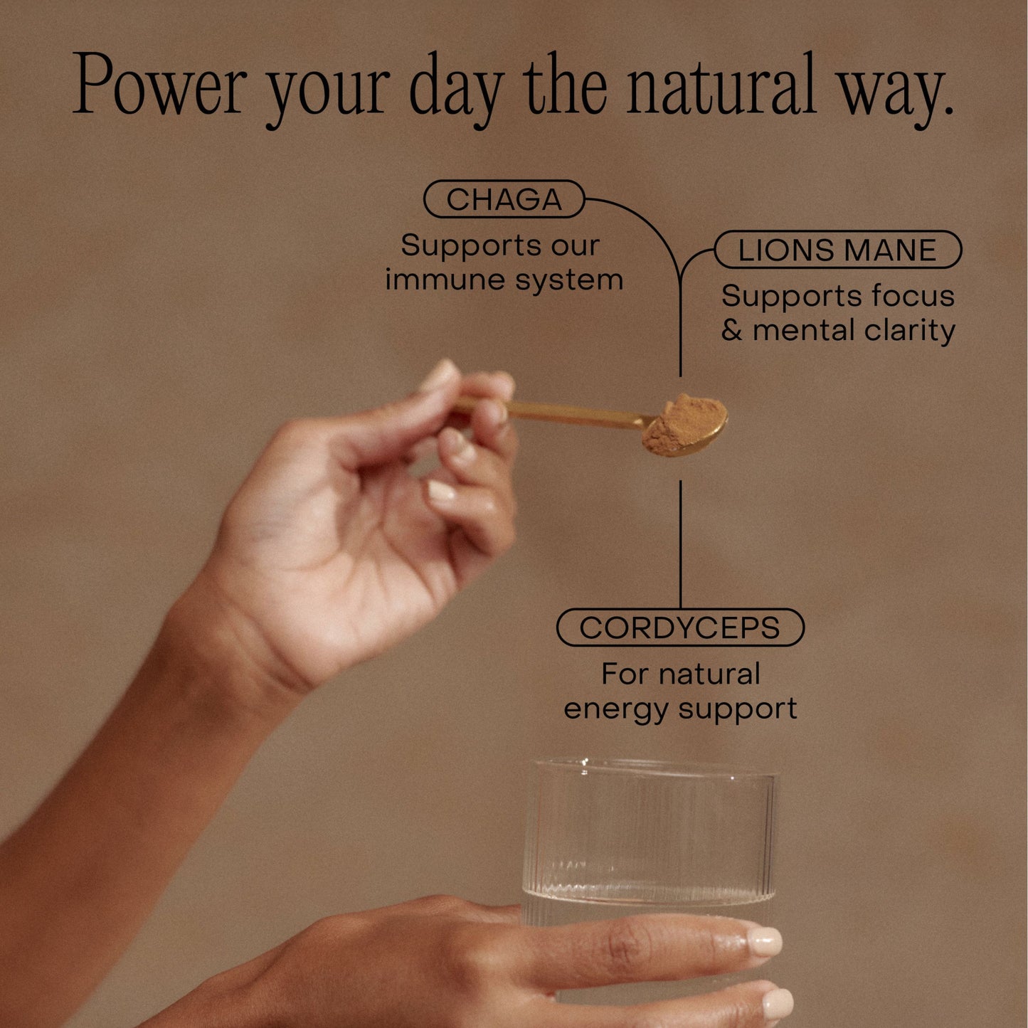 Spoon of AM mushroom powder held over glass of water, with labelled benefits of Chaga, Lion’s Mane and Cordyceps for energy, clarity and immune support.