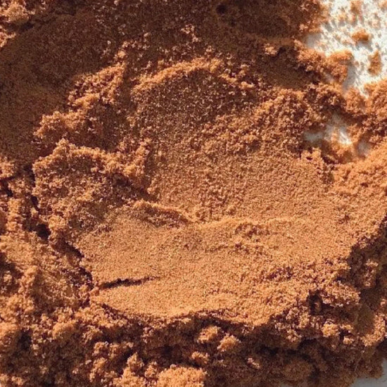 Close-up of Mother Made PM mushroom supplement powder texture – fine blend of Reishi, Shiitake and Turkey’s Tail for natural sleep support from Intentionally Natural NZ