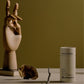 Mother Made Relax Reishi Capsules for nervous system support in minimalist packaging with calming scene
