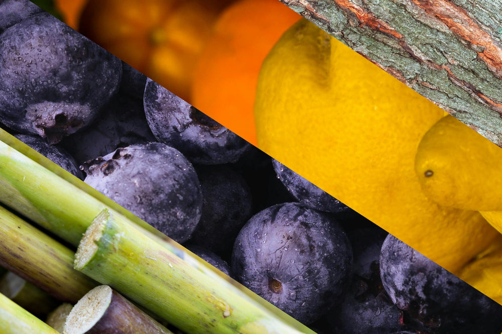 Natural fruit derived alpha hydroxy acids from sugarcane blueberry orange lemon and sugar maple extracts used in skincare.