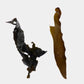 Dry and rehydrated Kombu examples