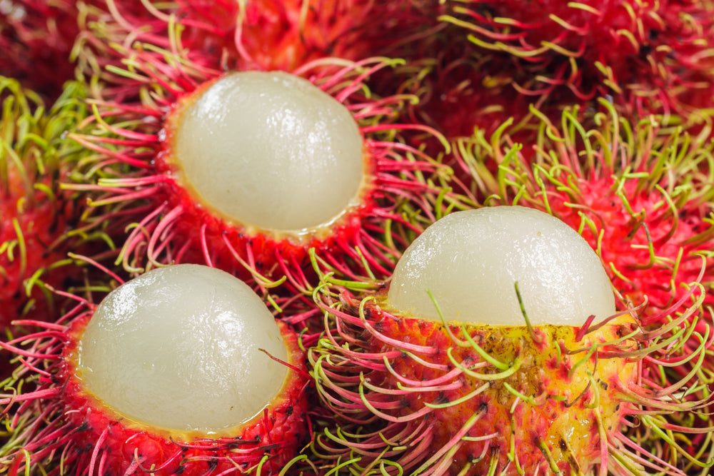 Close-up of fresh rambutan fruit – a tropical superfruit rich in antioxidants and nutrients, used in natural skincare, beauty, health, and wellness for its hydrating and anti-aging benefits.