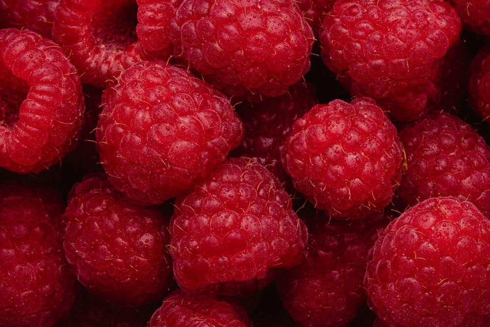 Close-up of fresh raspberries, a natural fruit ingredient valued for its antioxidant-rich properties and used across beauty, health and wellness formulations.