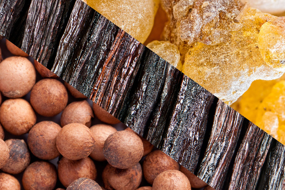 Close-up of warm, earthy vanilla pods (Vanilla Planifolia), golden frankincense resin (Boswellia Rivae) and round sandalwood seeds (Santalum Album), a base notes trio in natural perfume that evoke comfort, emotional clarity and presence.