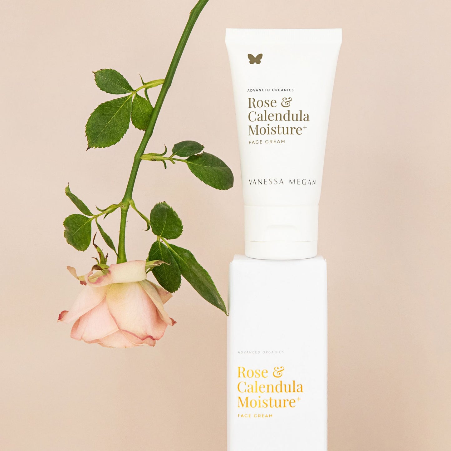 Vanessa Megan Rose and Calendula Moisture+ Face Cream botanical moisturiser with fresh rose flower.