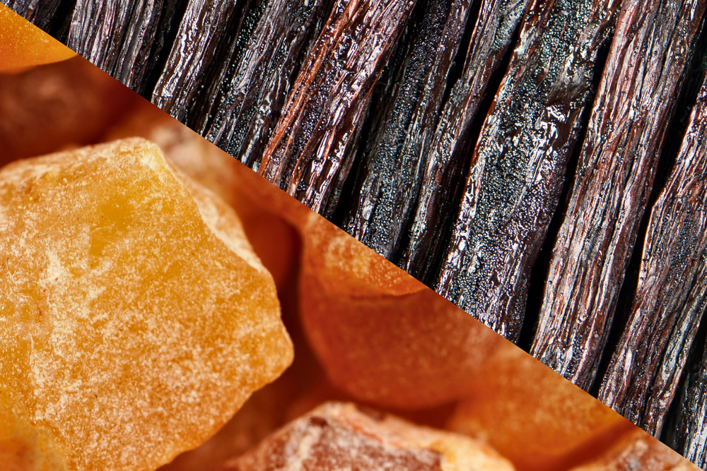 Close-up of rich vanilla pods (Vanilla Planifolia) and golden Peru balsam resin (Myroxylon Pereirae), a warm base note duo in natural perfumery that soothes, grounds and lingers with creamy sweetness.